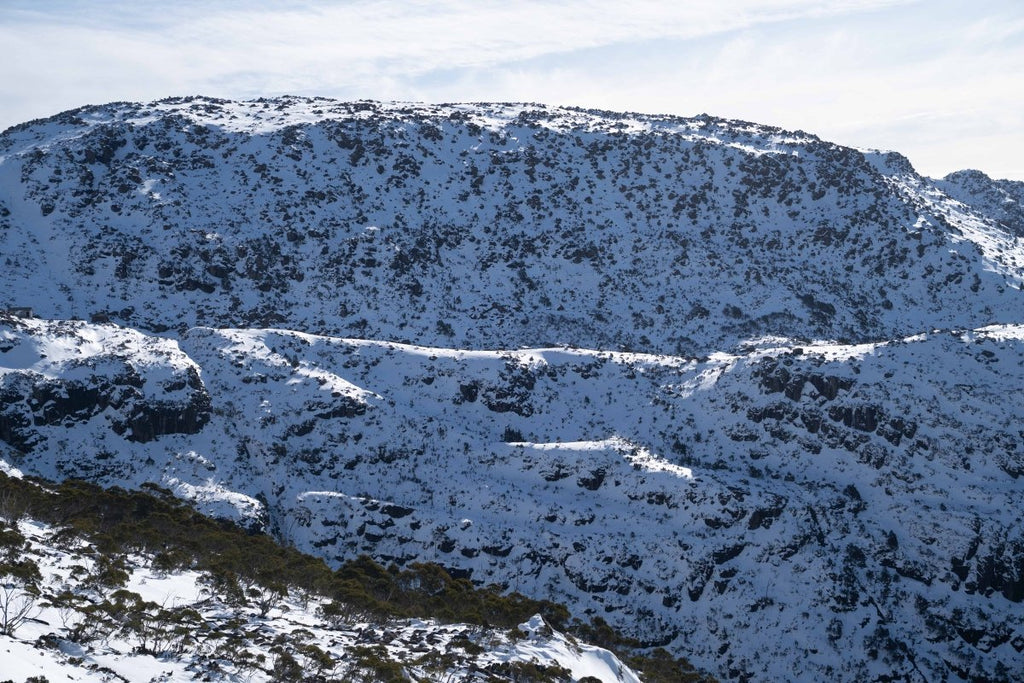 Mount Field